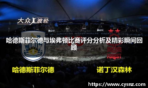 哈德斯菲尔德与埃弗顿比赛评分分析及精彩瞬间回顾