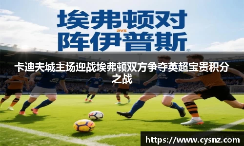 卡迪夫城主场迎战埃弗顿双方争夺英超宝贵积分之战