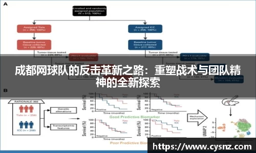 成都网球队的反击革新之路：重塑战术与团队精神的全新探索